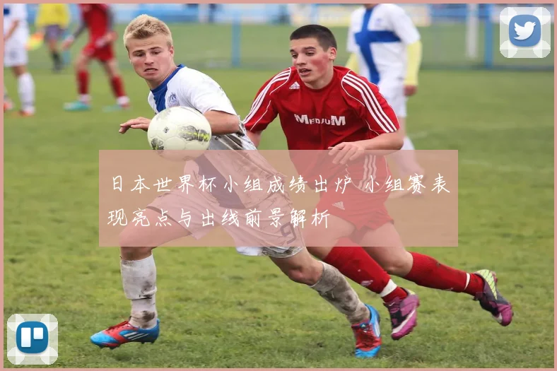 日本世界杯小组成绩出炉 小组赛表现亮点与出线前景解析