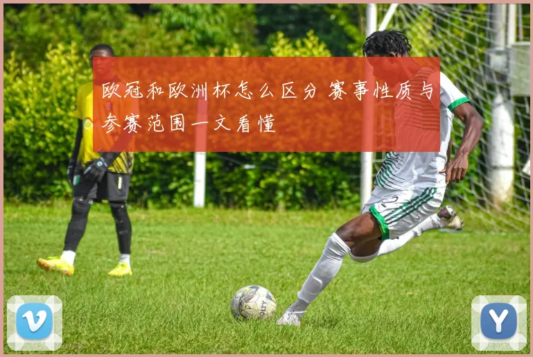 欧冠和欧洲杯怎么区分 赛事性质与参赛范围一文看懂
