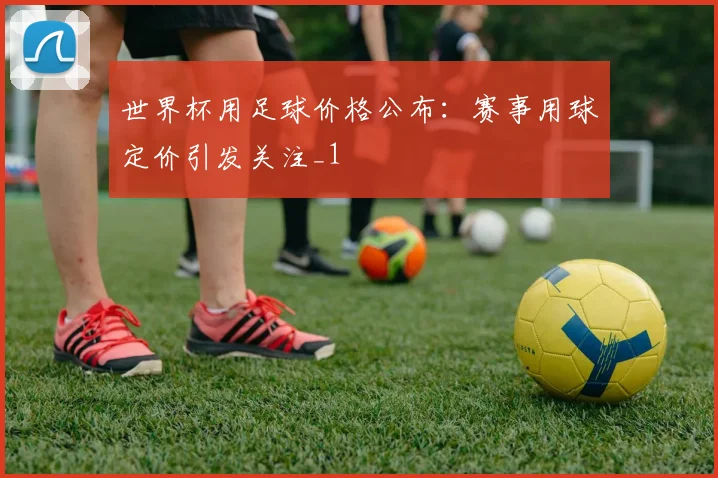 世界杯用足球价格公布:赛事用球定价引发关注_1