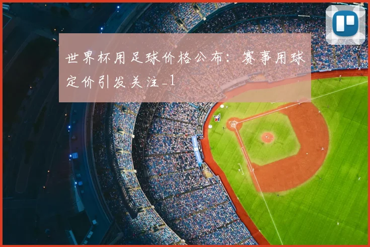 世界杯用足球价格公布:赛事用球定价引发关注_1